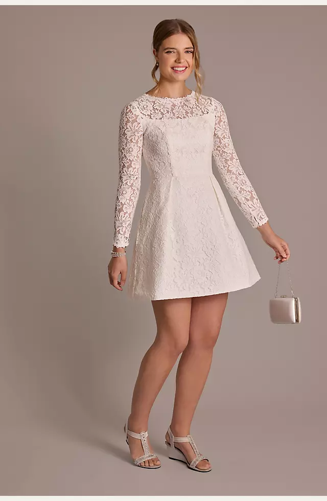Long Sleeve Allover Lace Pleated Skirt Mini Dress Image