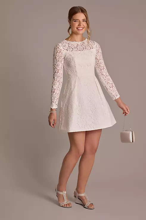 Long Sleeve Allover Lace Pleated Skirt Mini Dress Image 1