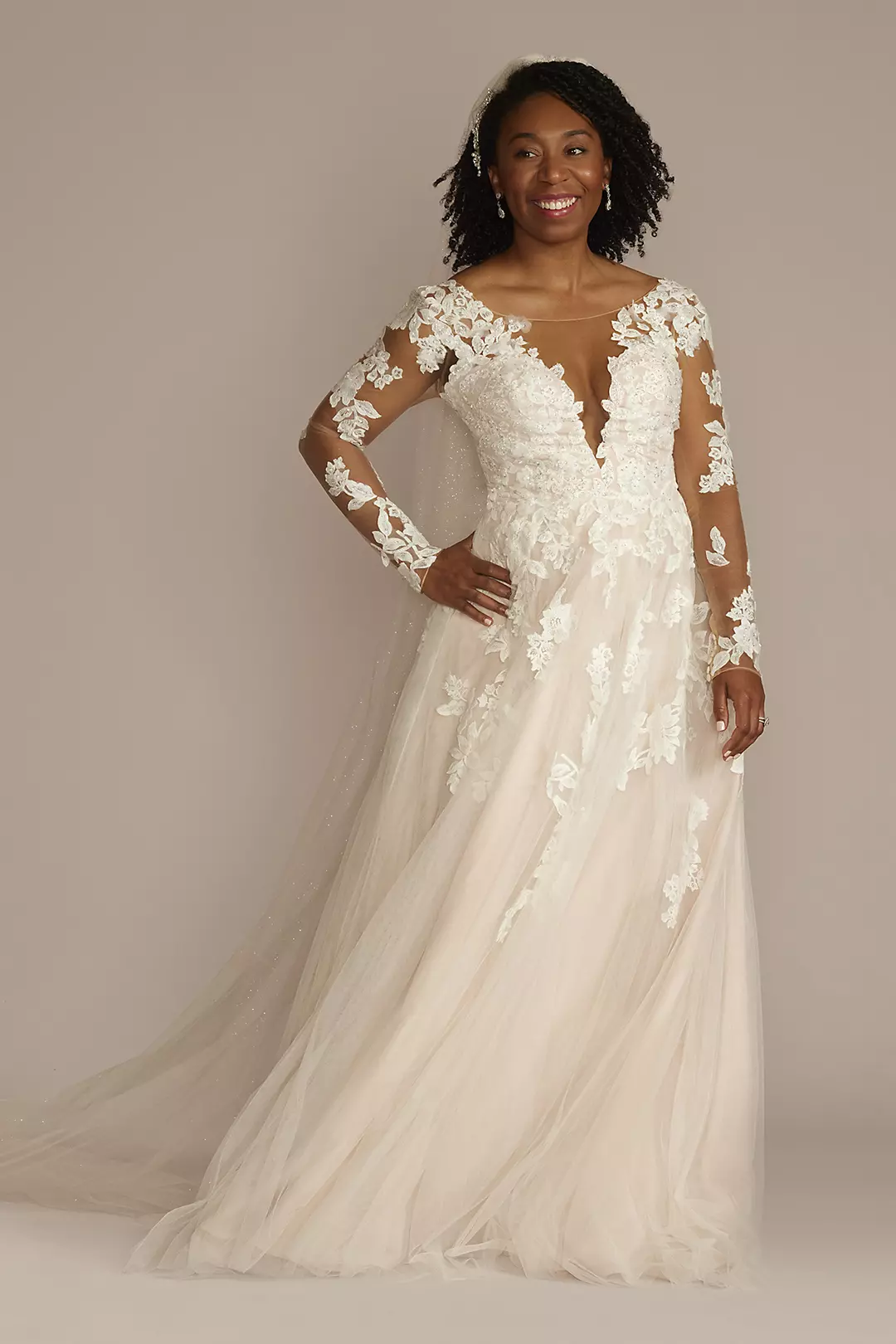 Illusion V-Neck Long Sleeve Lace Wedding Gown Image