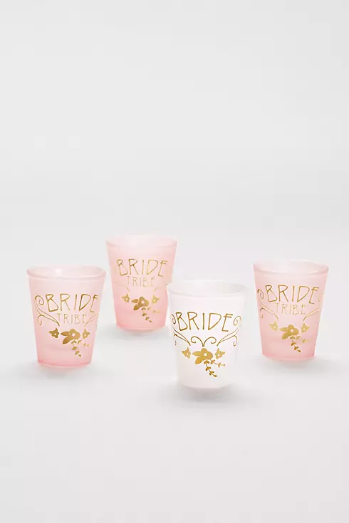 Bride and Bride Tribe Shot Glass Set Image 1