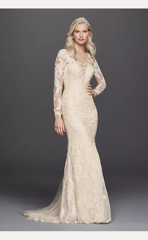 Lace Long Sleeve Illusion V-Neck Wedding Dress Image 1