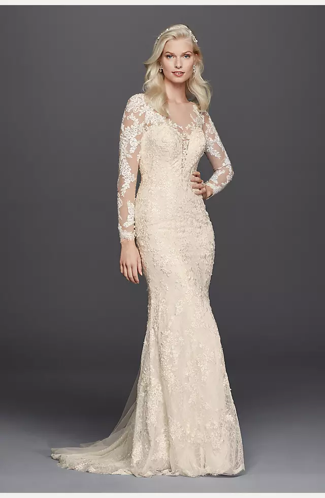 Lace Long Sleeve Illusion V-Neck Wedding Dress Image
