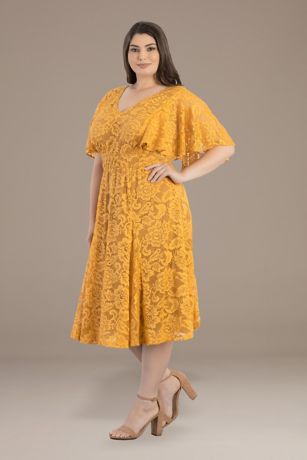 Picture of Plus Size Camille Lace A-Line Dress