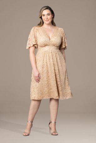 Plus Size Formal Dresses, Evening Gowns, Size 14-30W | David