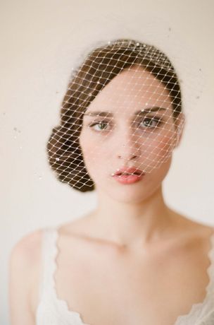 david's bridal birdcage veil