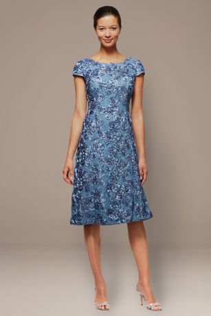 Picture of Petite A-Line Applique Dress with Cap Sleeves