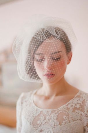 david's bridal birdcage veil