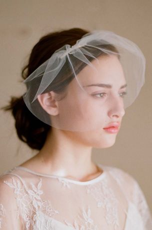 david's bridal birdcage veil