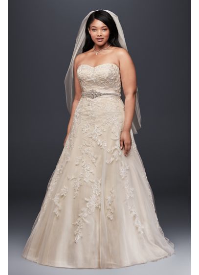 A Line Plus Size  Wedding  Dress  with Lace Appliques David 