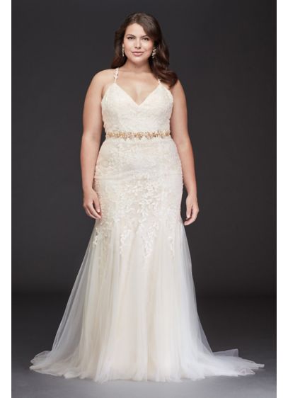 Cross Back Chantilly Lace Plus Size Wedding Dress David Cross Back Chantilly Lace Plus Size Wedding Dress David