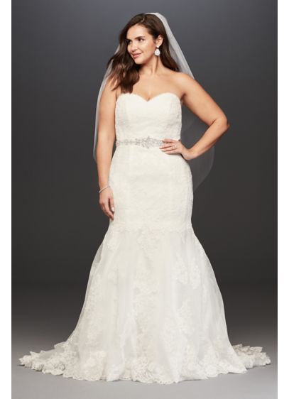 Lace Plus Size Wedding Dress with Scalloped Hem David s Lace Plus Size Wedding Dress with Scalloped Hem David s