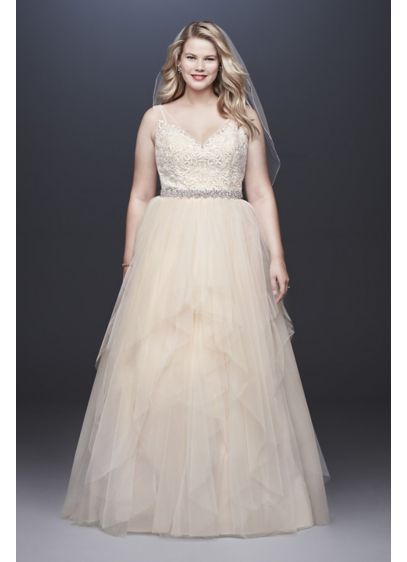 Tulle Plus Size Tank Ball Gown with Layered Skirt | David's Bridal