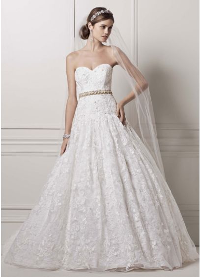 Strapless Ball Gown with All Over Lace Appliques | David's Bridal