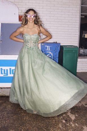 Picture of Glitter Tulle Ball Gown Bodice Appliques