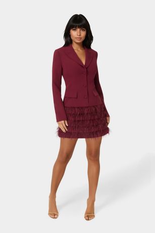 Picture of Feather Blazer Dress