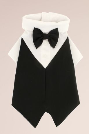 Picture of Dog Tuxedo