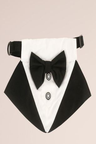 Picture of Dog Tuxedo Bandana Collar