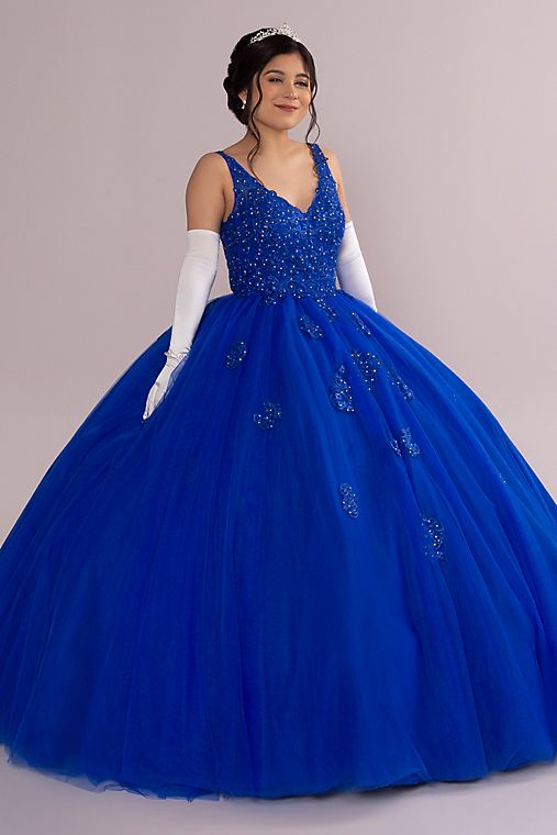 Fifteen Roses Fairytale Ballgown with Embellished Lace Applique