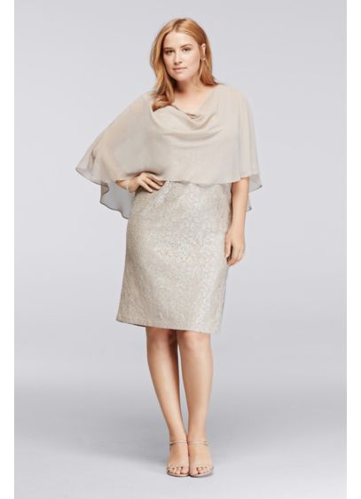 Shimmer Lace Plus Size Dress with Capelet | David's Bridal