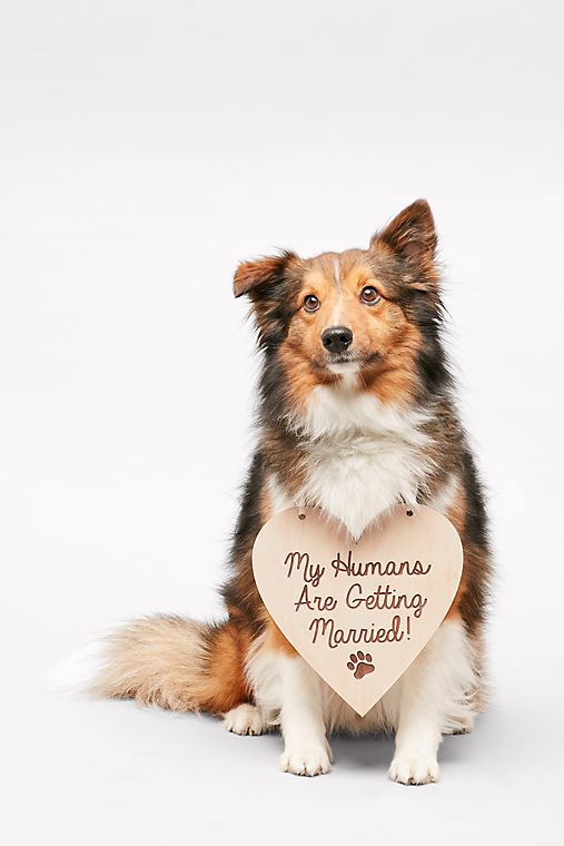 David's Bridal My Humans Are Getting Married Sign