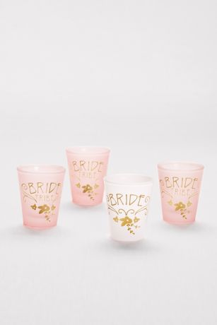 Bride And Bride Tribe Shot Glass Set David S Bridal