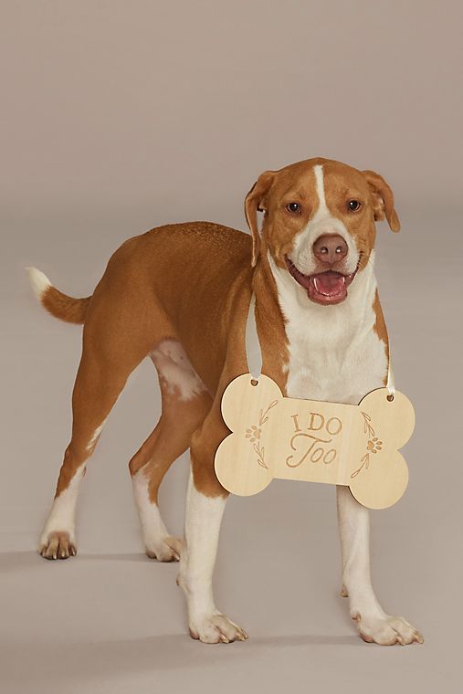 David's Bridal I Do Too Engraved Wooden Dog Sign
