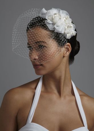 david's bridal birdcage veil