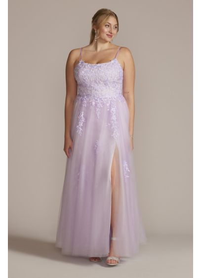 Plus Size Embroidered Lace Tulle A-Line Dress - You can't help but feel like a princess