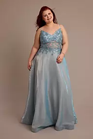 Jules and Cleo Iridescent Ball Gown with Illusion Lace Applique