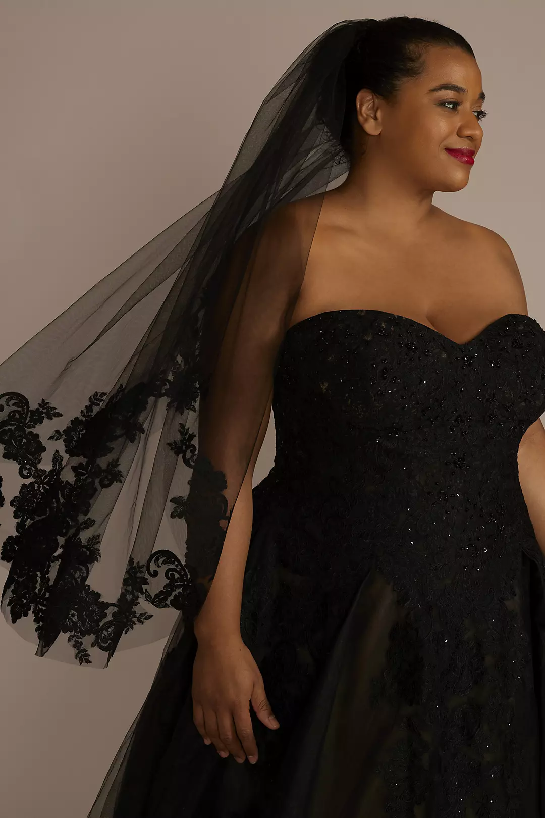Lace-Trimmed Black Tulle Mid-Length Veil Image