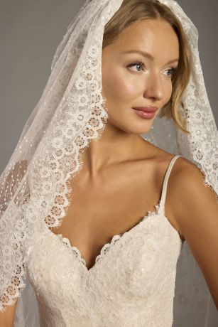 Allover Lace Mid-Length Veil