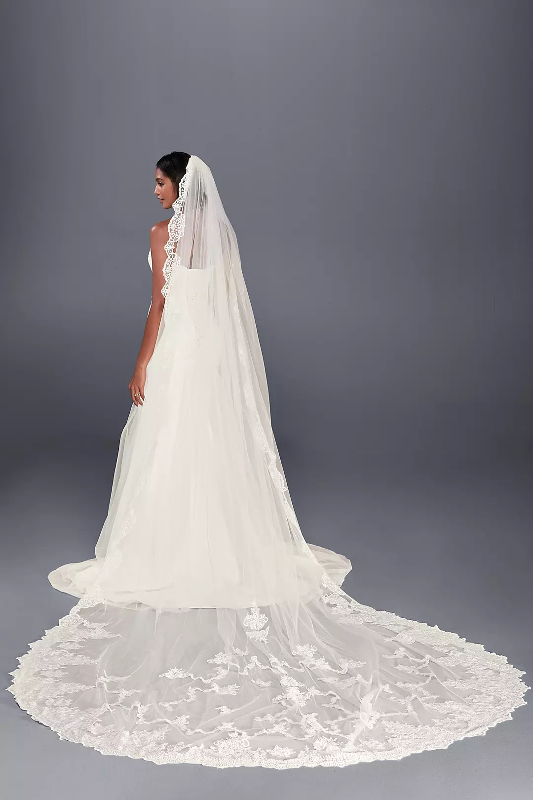 Statement Lace Cathedral Veil  Image