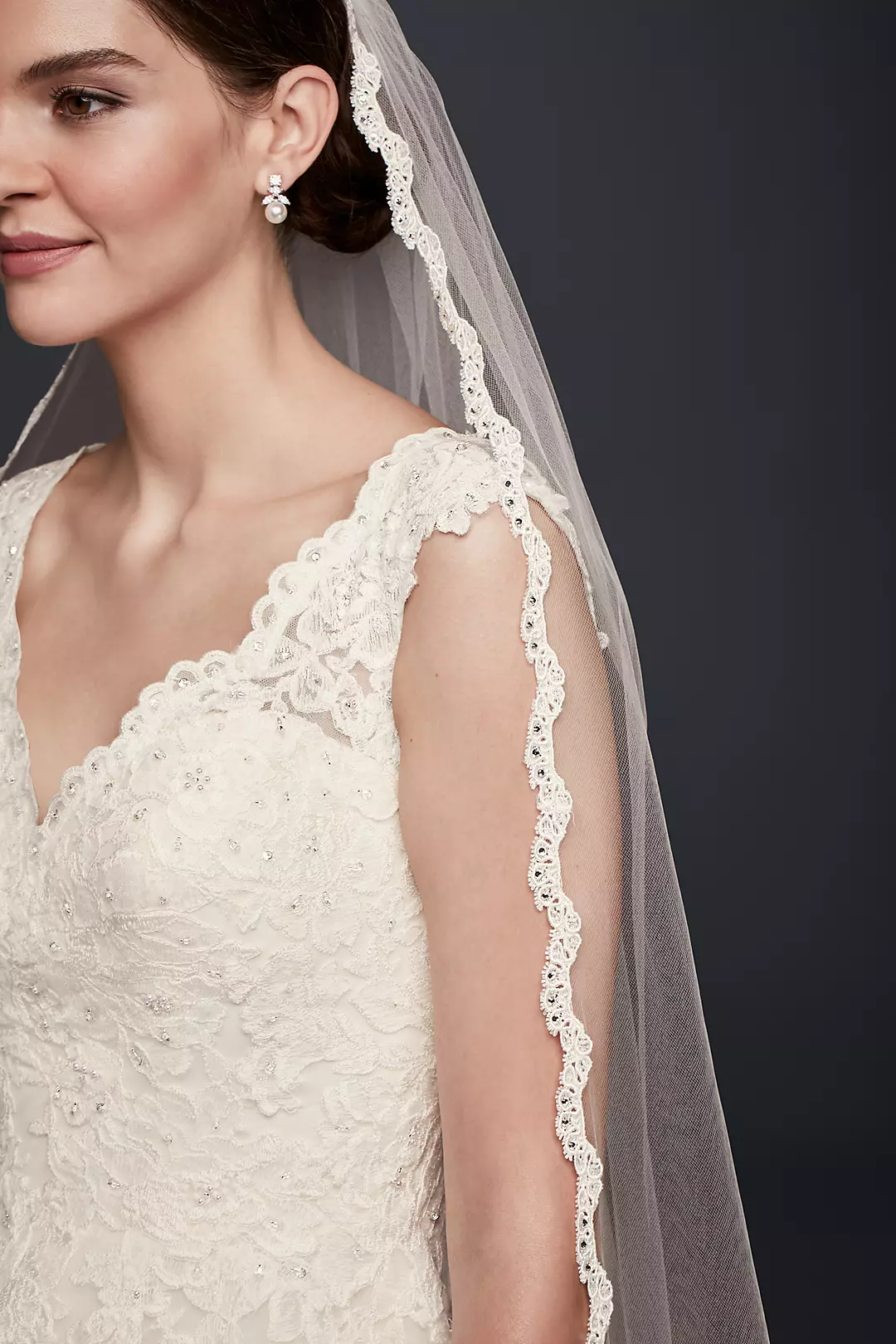 Single Tier Cathedral Veil with Lace Detail Image 3