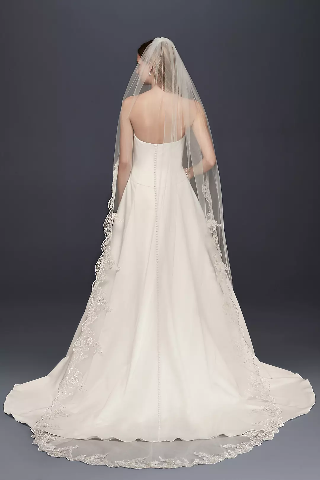 Floral Embroidered Cathedral Veil with Rhinestones Image