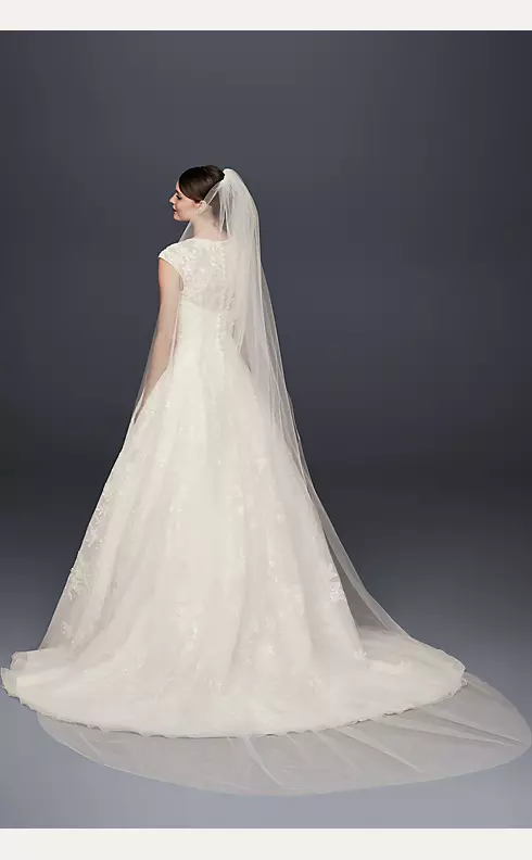 Single-Tier Raw Edge 120-Inch Cathedral Veil  Image 1