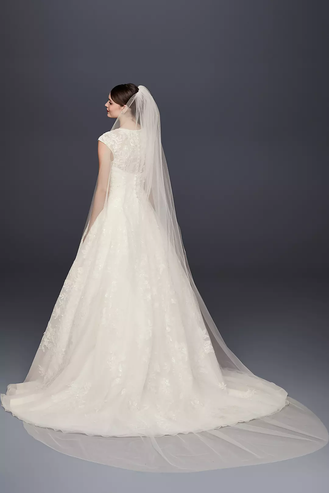 Single-Tier Raw Edge 120-Inch Cathedral Veil  Image