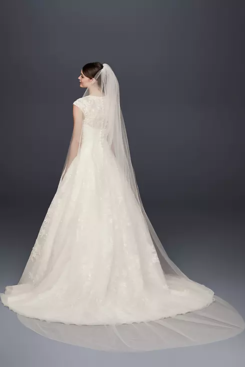 Single-Tier Raw Edge 120-Inch Cathedral Veil  Image 1