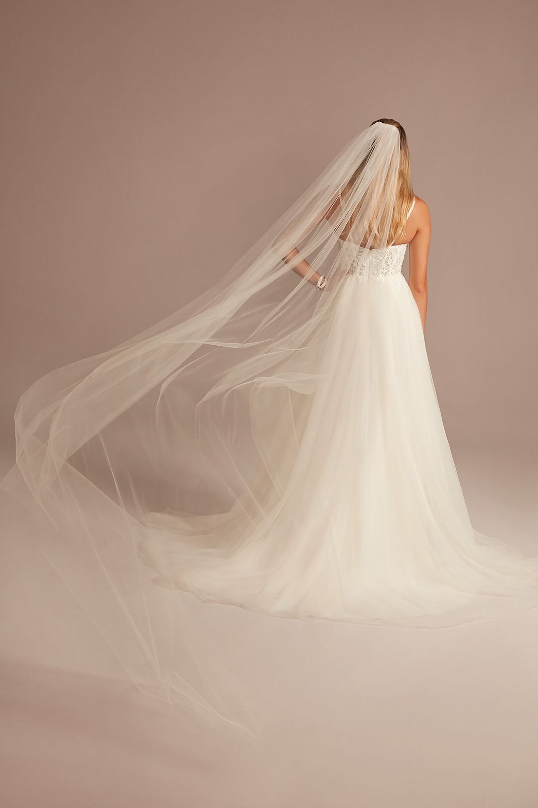 Cathedral-Length Shimmer Tulle Veil Image 1