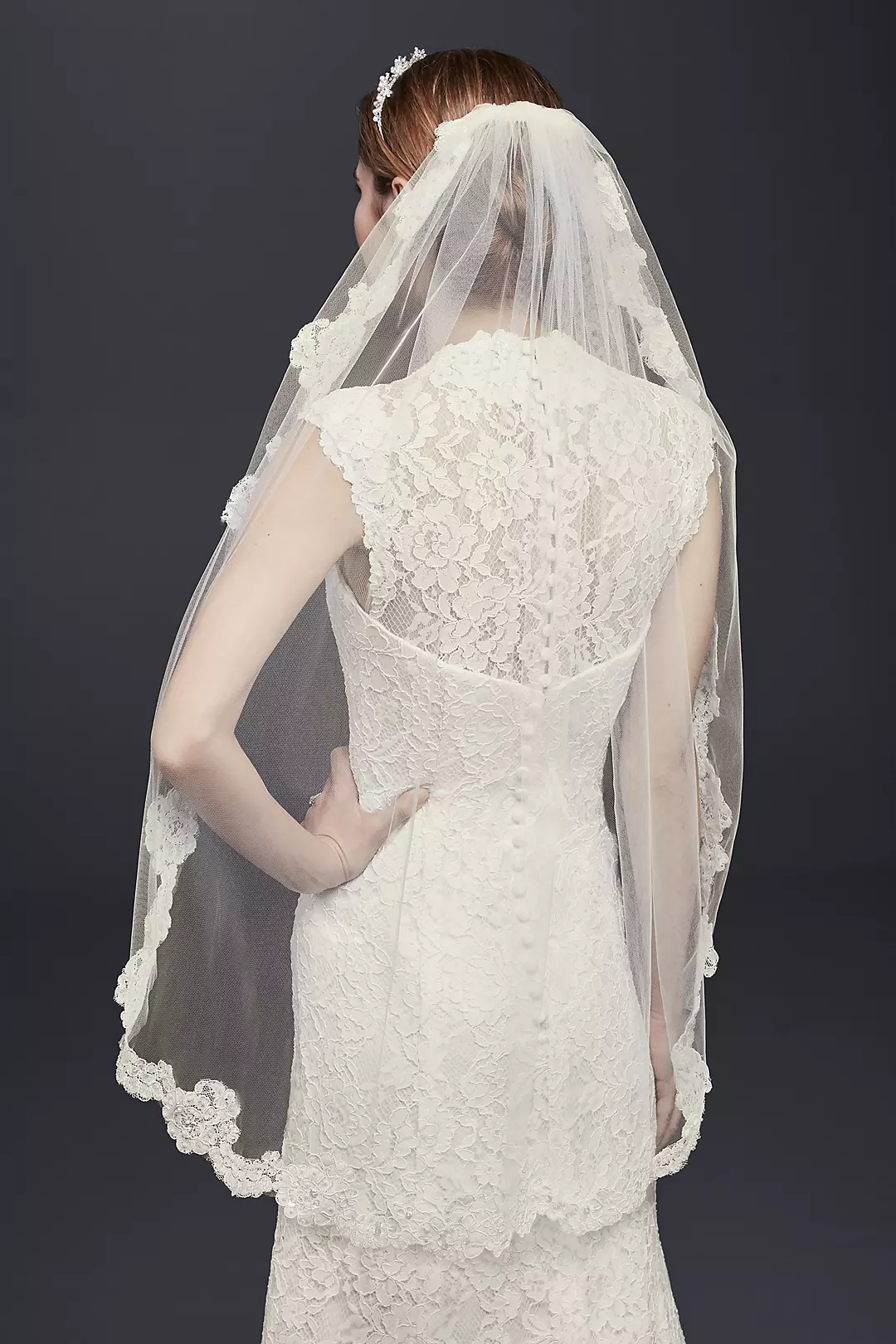 One Tier Veil with Pearl Embellished Alencon Lace Image
