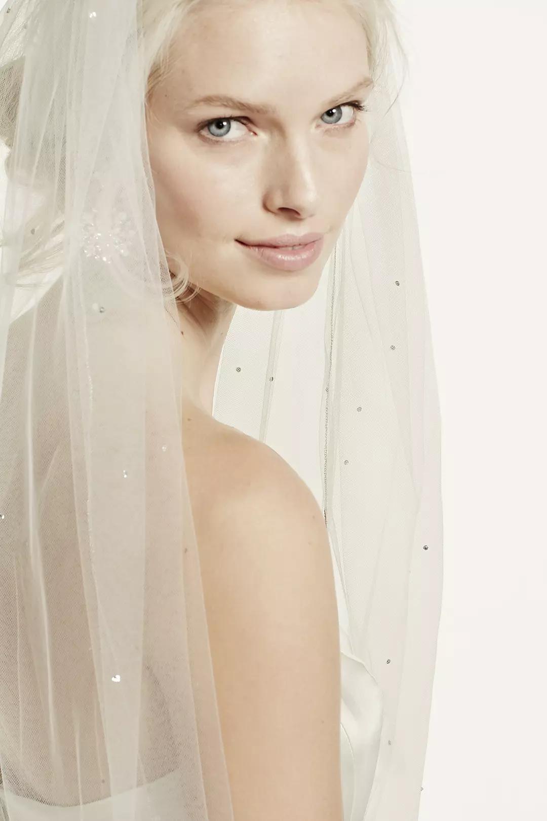Starry Night Inspired Cathedral Veil with Crystals Image