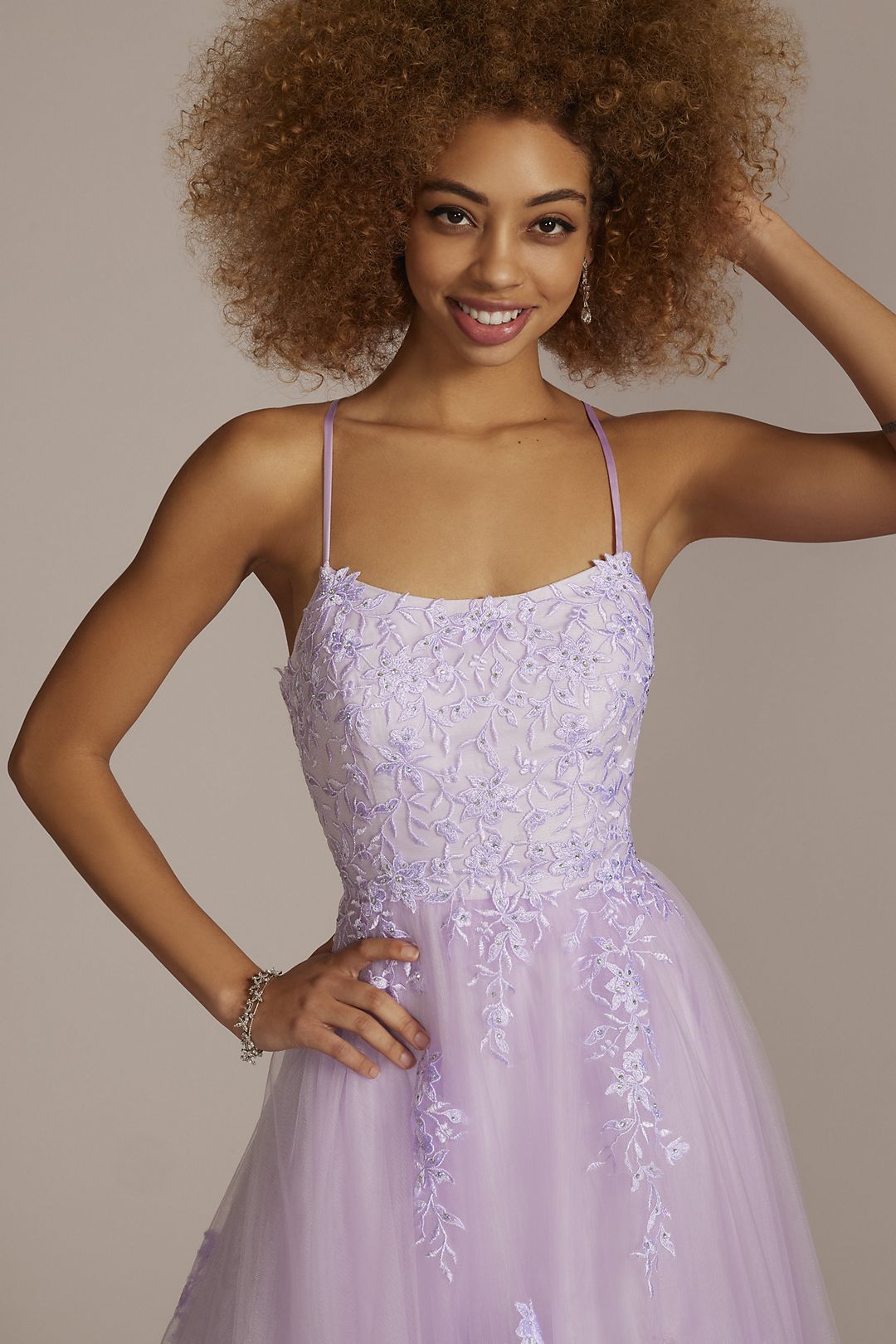 Embroidered Lace Tulle A-Line Dress Image 3