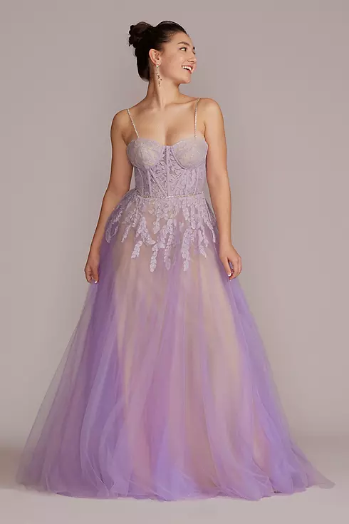 Tulle Ball Gown with Illusion Lace Corset Image 1