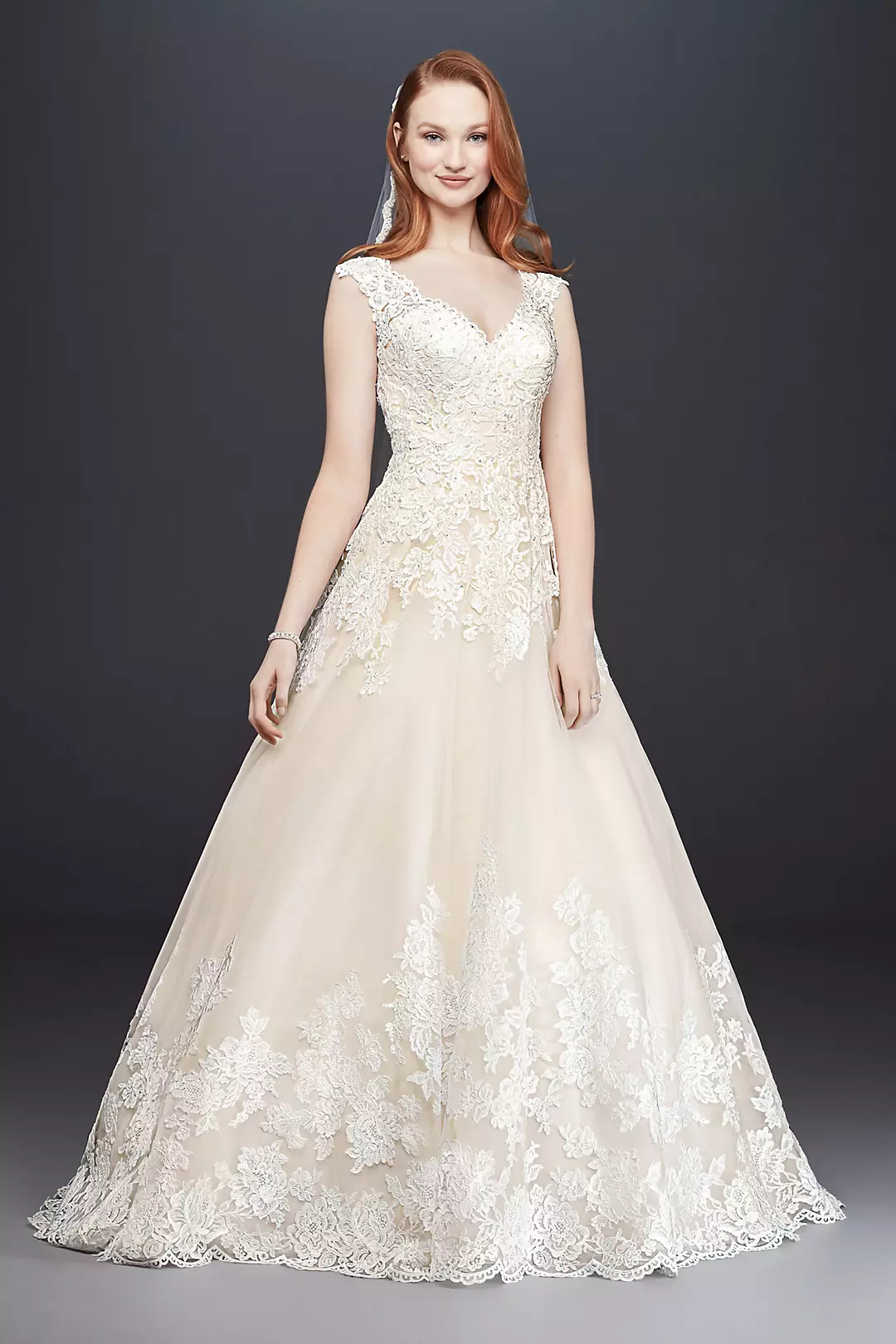 As-Is Scalloped V-Neck Tulle Wedding Dress Image