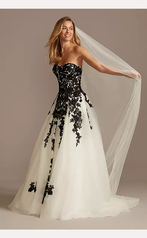 Sheer Lace and Tulle Ball Gown Wedding Dress Image 1