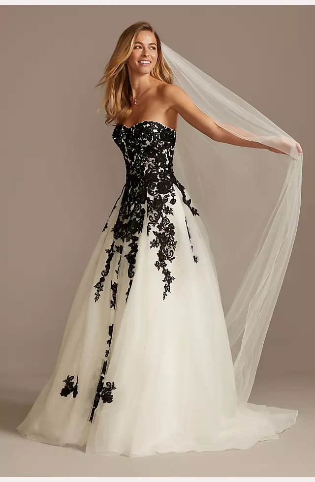 Sheer Lace and Tulle Ball Gown Wedding Dress Image