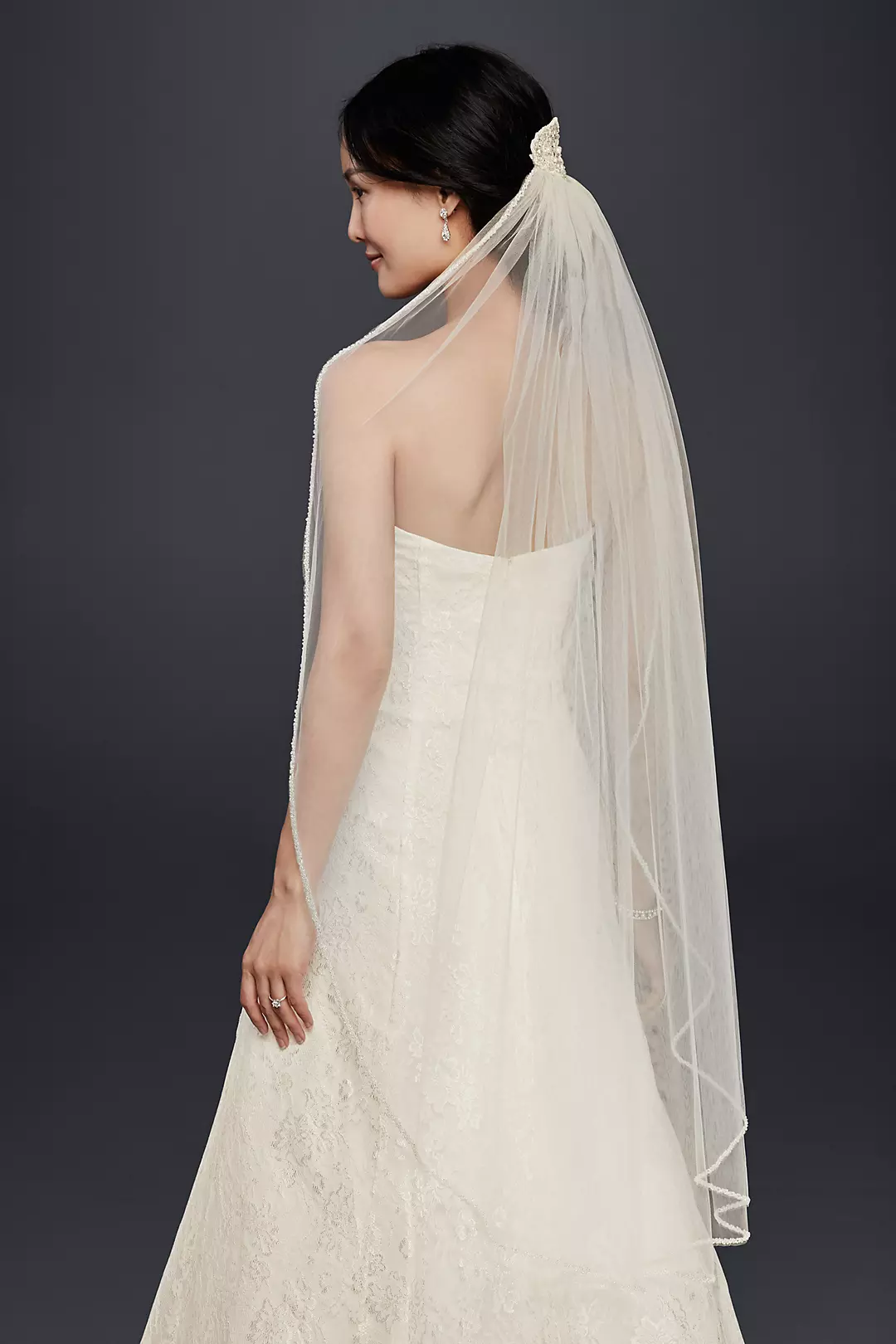 Mid-Length Veil With Beaded Lace Applique Image