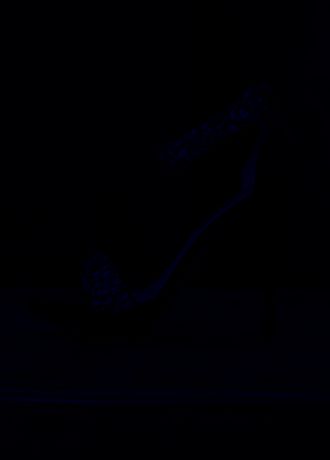 Crystal Encrusted Ankle Strap Platform Sandal Image