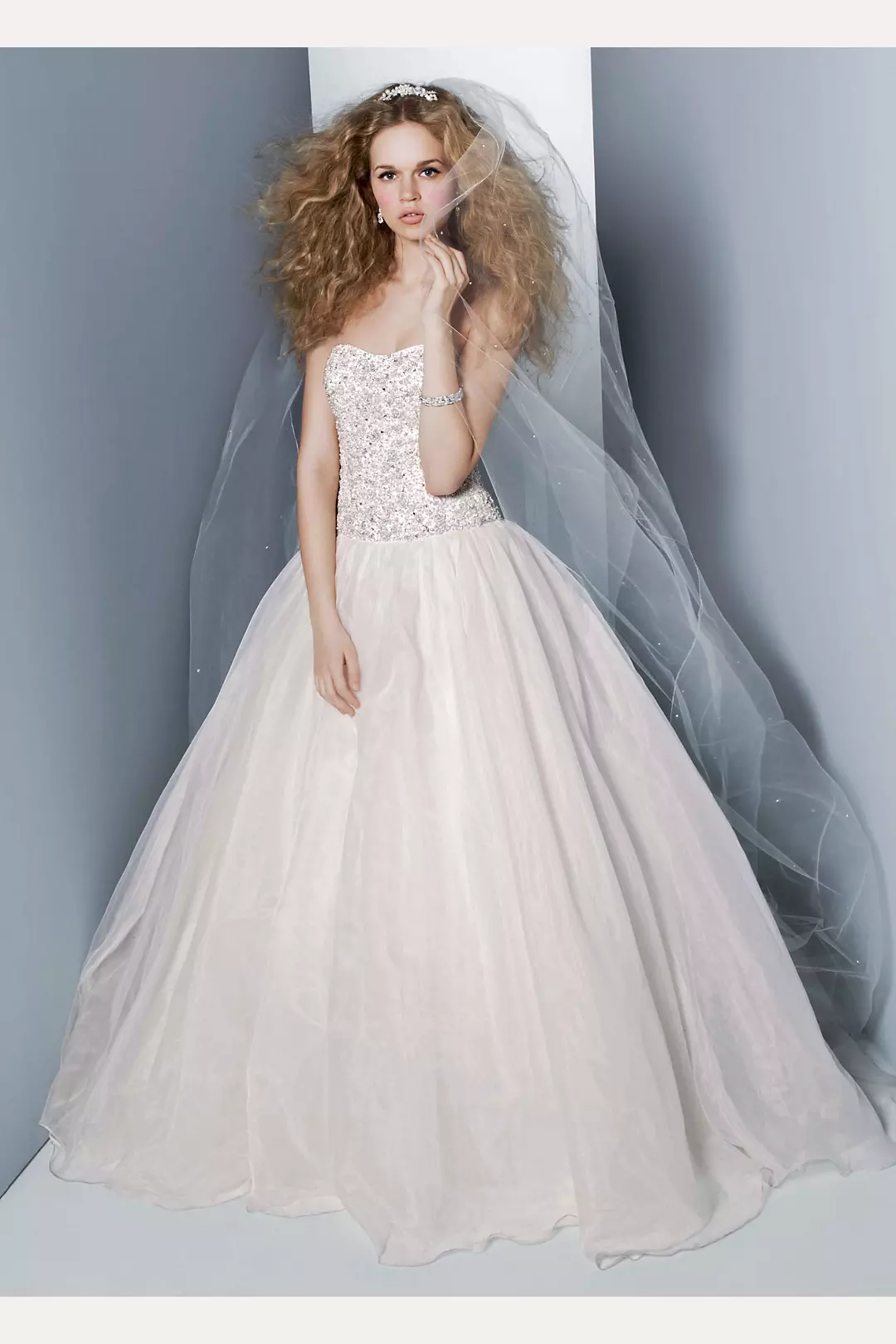 Organza Embroidered Bodice Ball Gown Image