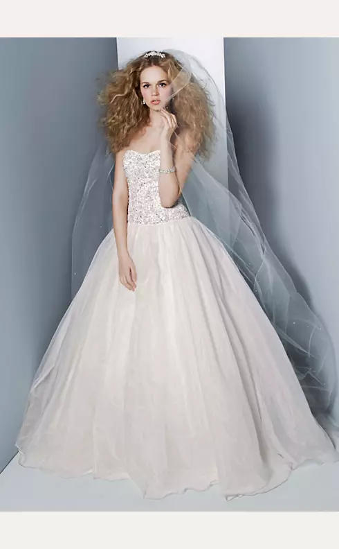 Organza Embroidered Bodice Ball Gown Image 1