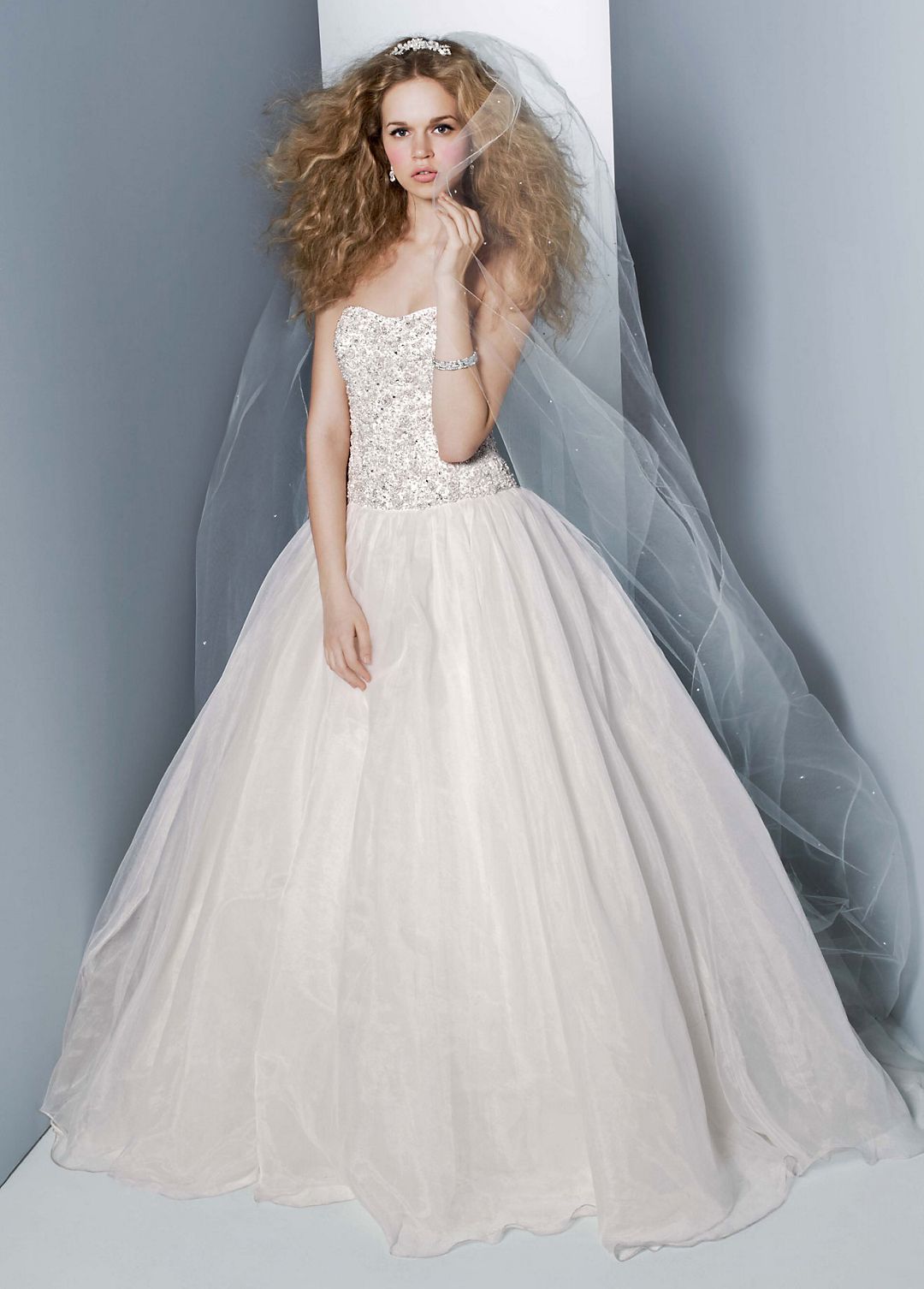 Organza Embroidered Bodice Ball Gown Image 3